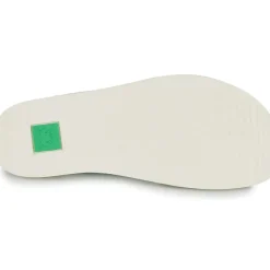 El Naturalista - ORIGEN N5914