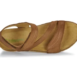 El Naturalista - PANGLAO N5810