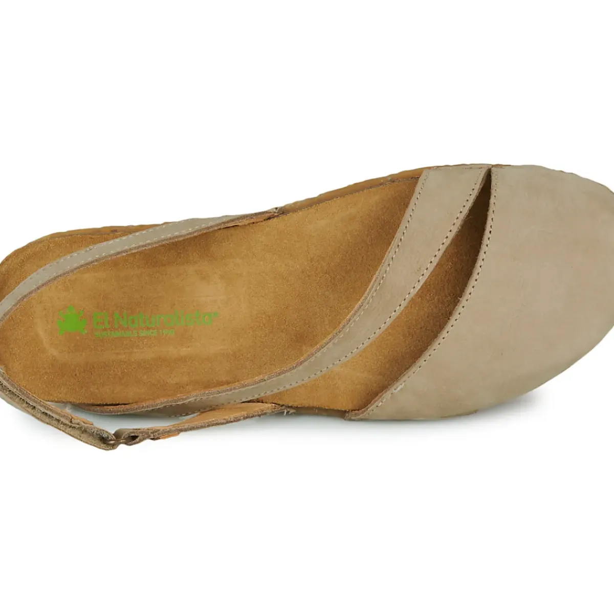 El Naturalista - PANGLAO N5813