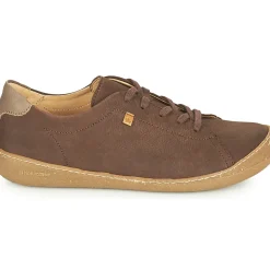El Naturalista - PAWIKAN N5770
