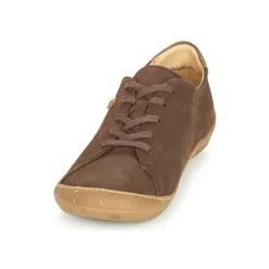 El Naturalista - PAWIKAN N5770