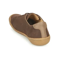 El Naturalista - PAWIKAN N5770