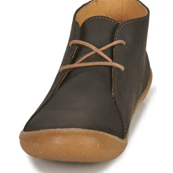 El Naturalista - PAWIKAN N5779P