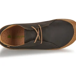 El Naturalista - PAWIKAN N5779P