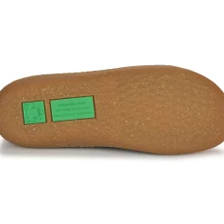 El Naturalista - PAWIKAN N5779P