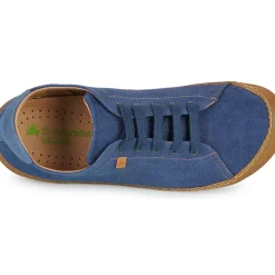 El Naturalista - PAWIKAN N5767T