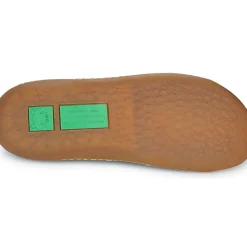 El Naturalista - PAWIKAN N5767T