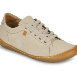 El Naturalista - PAWIKAN N5767T