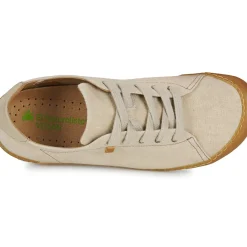 El Naturalista - PAWIKAN N5767T