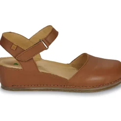 El Naturalista - PICUAL N5850
