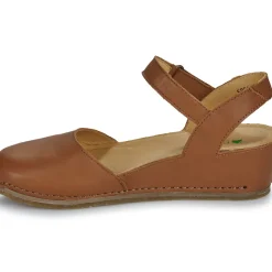 El Naturalista - PICUAL N5850