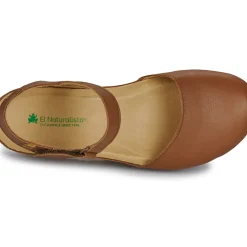 El Naturalista - PICUAL N5850