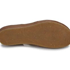 El Naturalista - PICUAL N5850