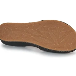 El Naturalista - PICUAL N5850