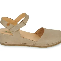 El Naturalista - PICUAL N5850