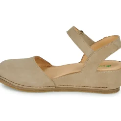 El Naturalista - PICUAL N5850