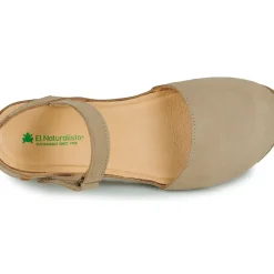 El Naturalista - PICUAL N5850