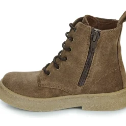 El Naturalista - Polvere