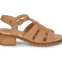 El Naturalista - SABAL N5800