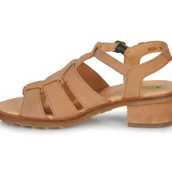 El Naturalista - SABAL N5800