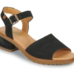 El Naturalista - SABAL N5801