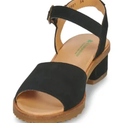 El Naturalista - SABAL N5801