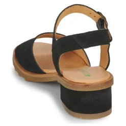 El Naturalista - SABAL N5801