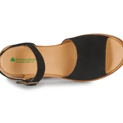 El Naturalista - SABAL N5801