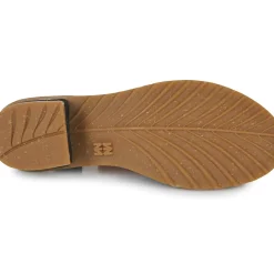 El Naturalista - SABAL N5801