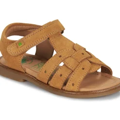 El Naturalista - 15275-SETTER