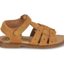 El Naturalista - 15275-SETTER