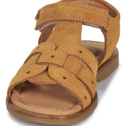 El Naturalista - 15275-SETTER