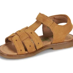 El Naturalista - 15275-SETTER