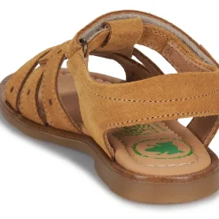 El Naturalista - 15275-SETTER