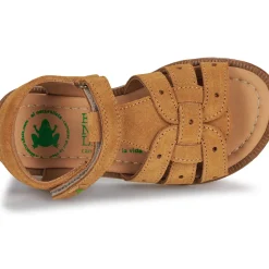 El Naturalista - 15275-SETTER