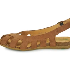 El Naturalista - STELLA N5213