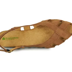 El Naturalista - STELLA N5213