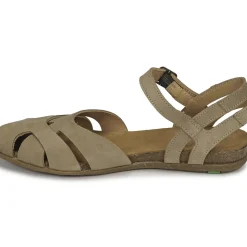 El Naturalista - STELLA N5207