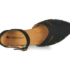 El Naturalista - STELLA N5207