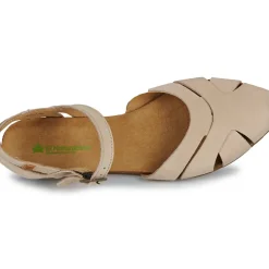 El Naturalista - STELLA N5207