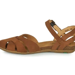 El Naturalista - STELLA N5207