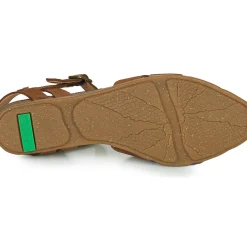 El Naturalista - STELLA N5207