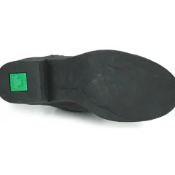 El Naturalista - TICINO N5661
