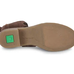 El Naturalista - TICINO N5660