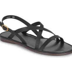 El Naturalista - TULIP N5694