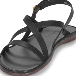 El Naturalista - TULIP N5694