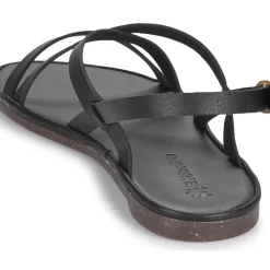El Naturalista - TULIP N5694