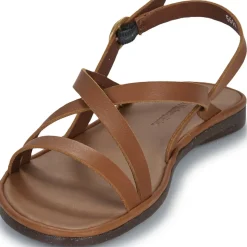 El Naturalista - TULIP N5694