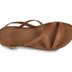 El Naturalista - TULIP N5694