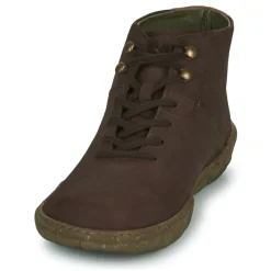 El Naturalista - TURTLE N5083